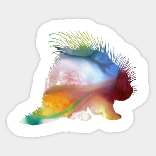 Porcupine Sticker